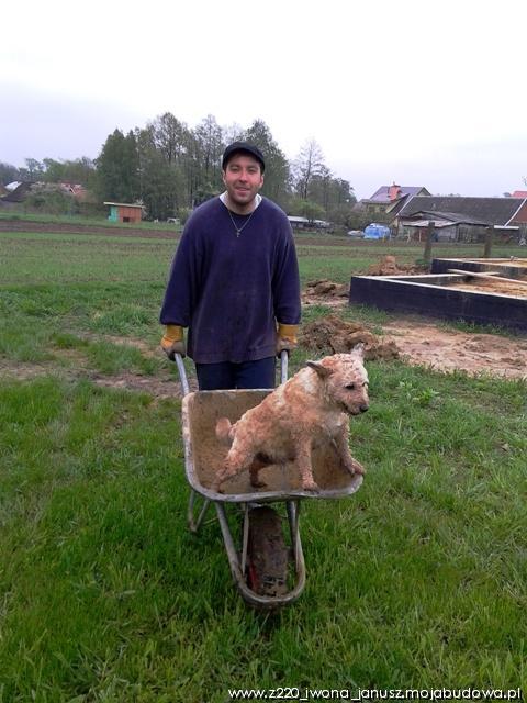 blog budowlany - mojabudowa.pl